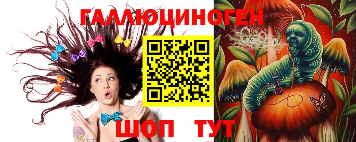 наркошоп  Будённовск  Галлюциногенные грибы GOLDEN TEACHER 