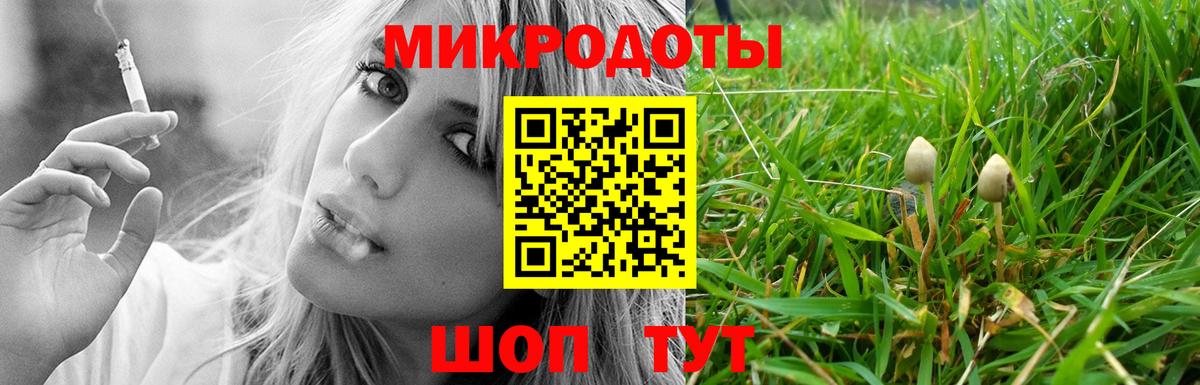 Галлюциногенные грибы Psilocybe Будённовск