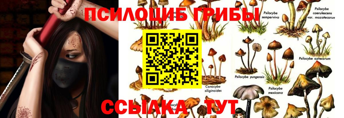 Галлюциногенные грибы прущие грибы  Вход с VPN  Галлюциногенные грибы Cubensis  Будённовск 